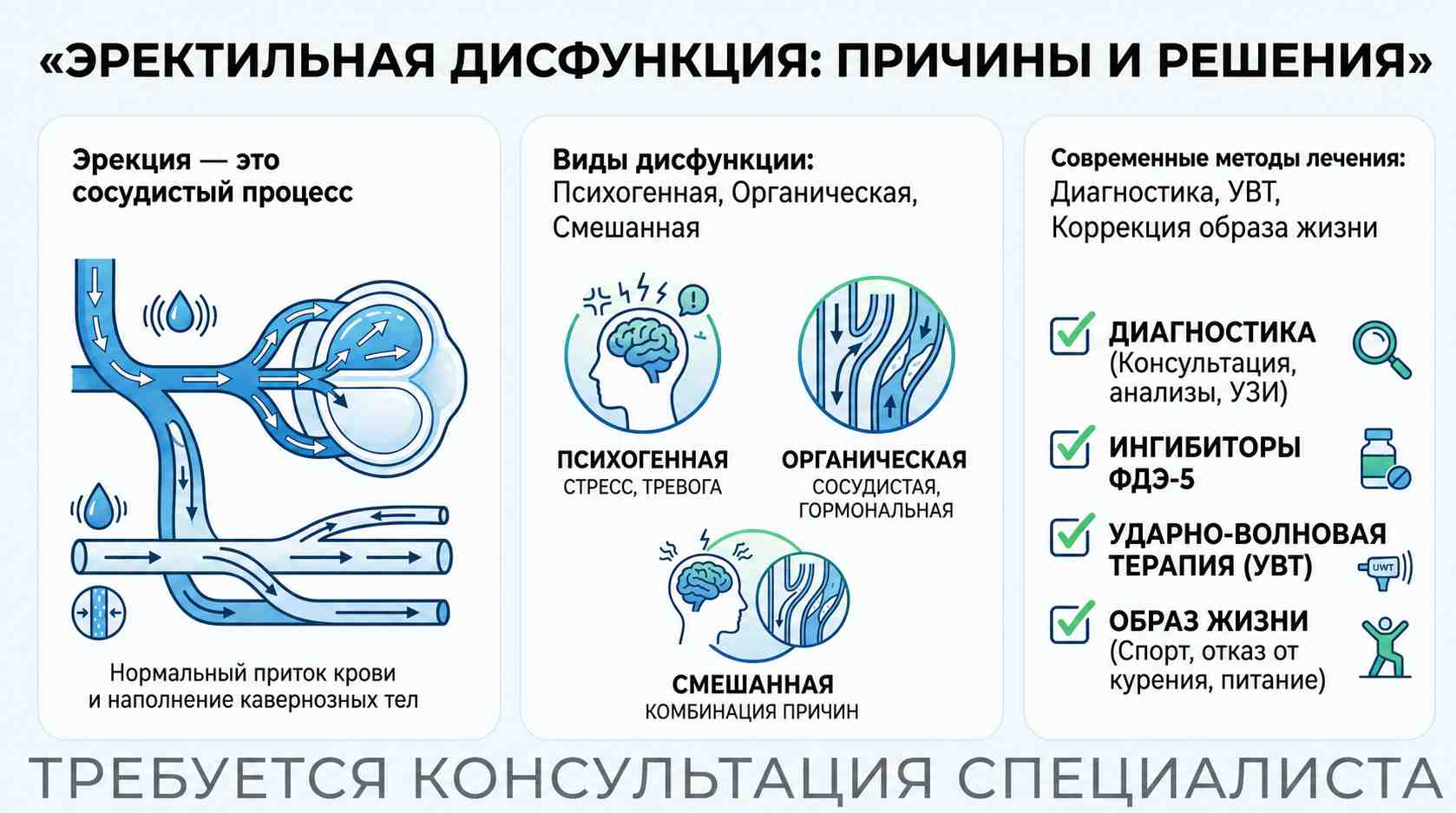 Инфографика о причинах и современных методах лечения эректильной дисфункции