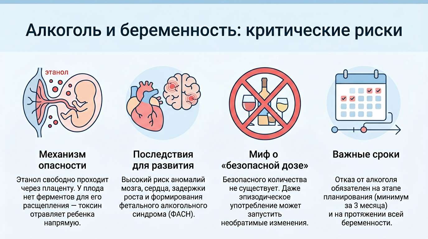 Инфографика: влияние алкоголя на развитие плода и риски употребления во время беременности